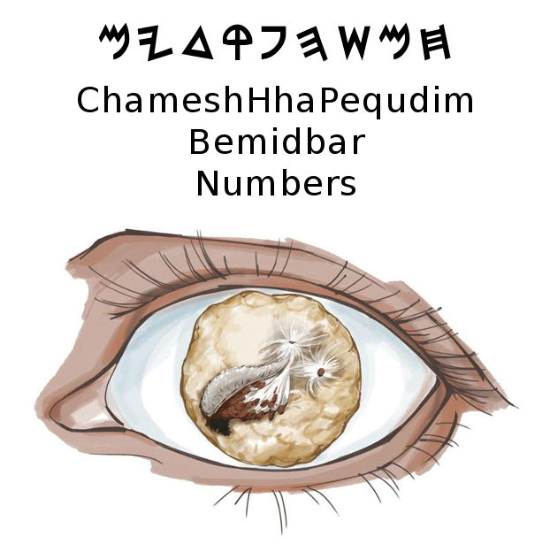 Chamesh haPequdim Bemidbar / Numbers