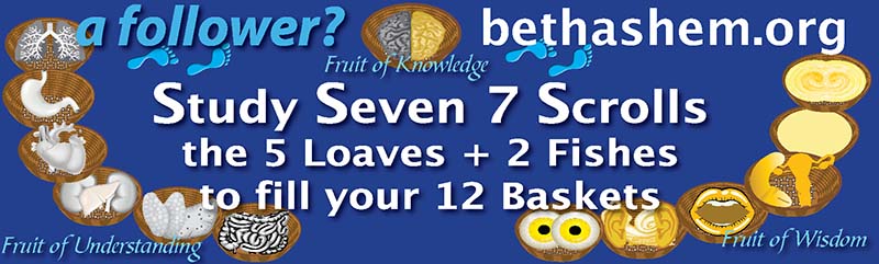 A follower? Study the 7 scrolls, the 5 loaves and 2 fishes to fill your 12 baskets